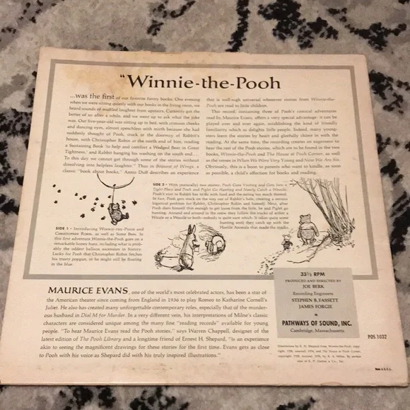 Host Pick Bundle of Vintage Disney Winnie the Pooh Vinyls